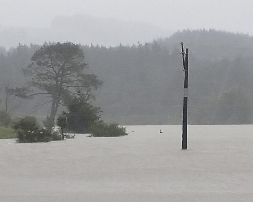 Valley flooding power pole