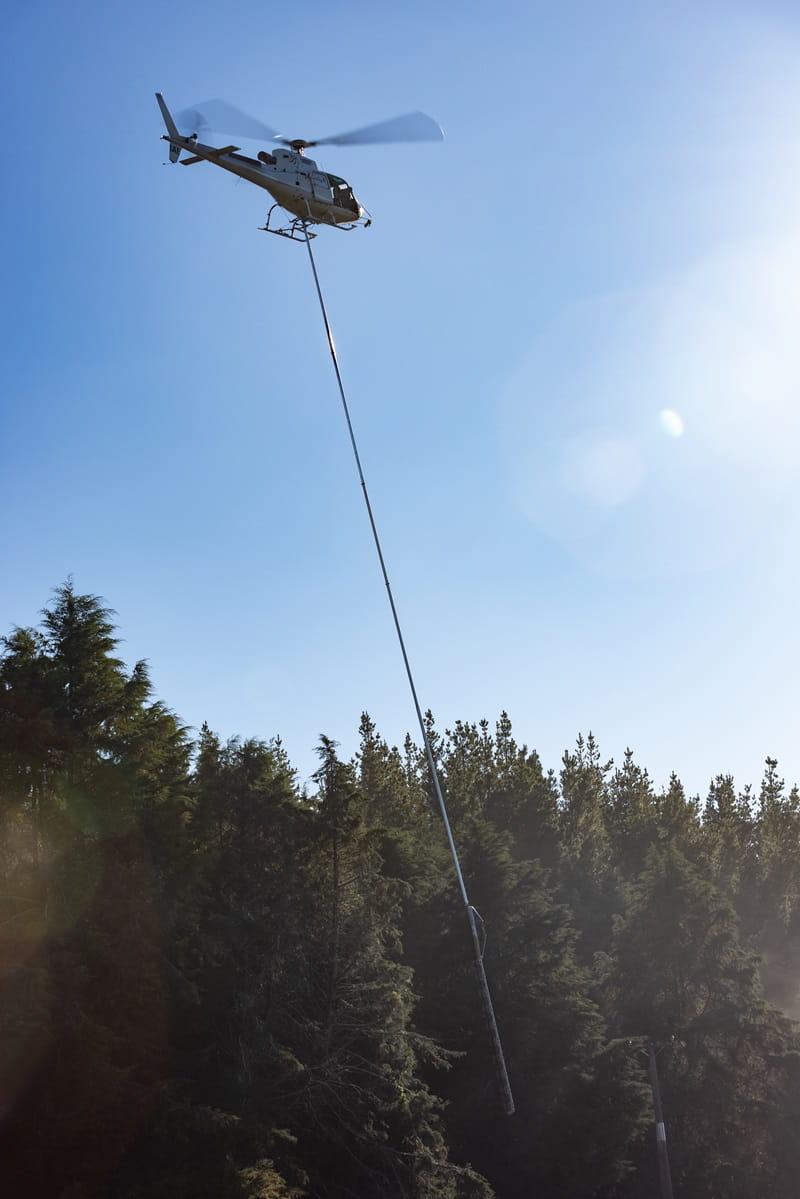 A helicopter with a saw attached from below flying above a pine forest 