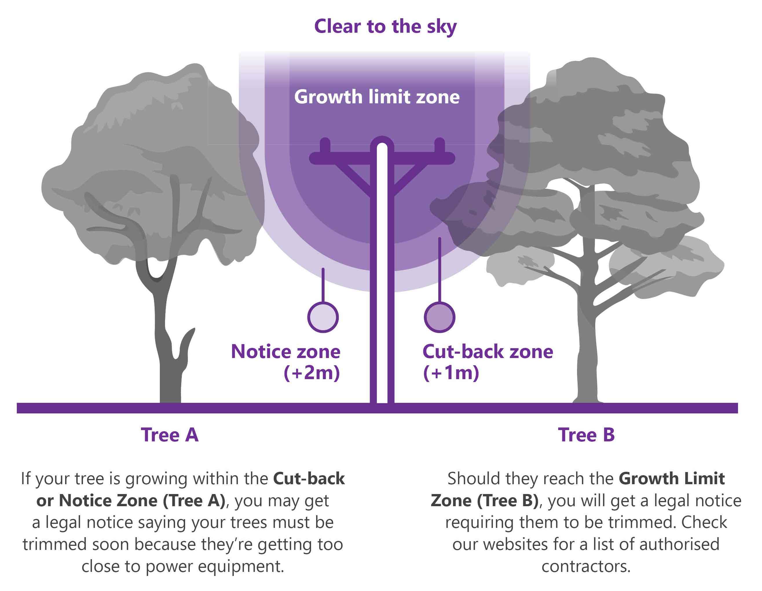 growth limit zone tree trimming
