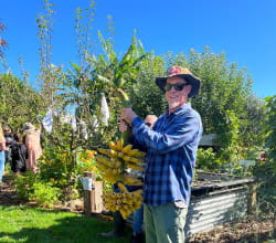Person gardening in back yard