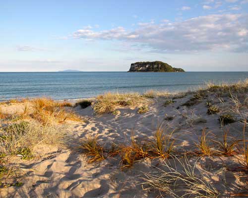 whangamata beach
